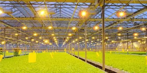 我國農業科技創新專利眾多，為何技術落地推廣之路依舊艱難？