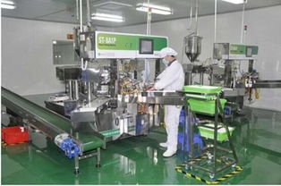 愛護工廠參觀之旅 以匠心與品質(zhì)，鑄就皮革制品的卓越承諾